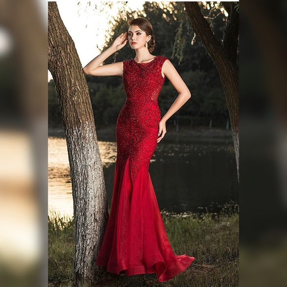Gorgeous Red Gala Gown 💃🏻 - Picture 4 of 10